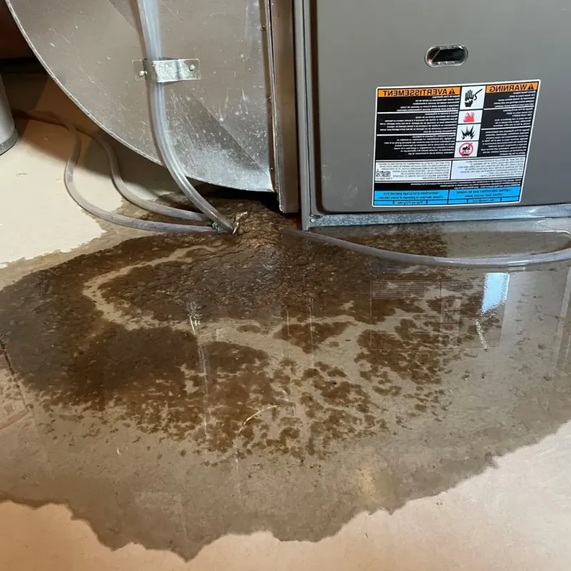 Pipe Burst and Leak Restoration in Hillsborough, NH