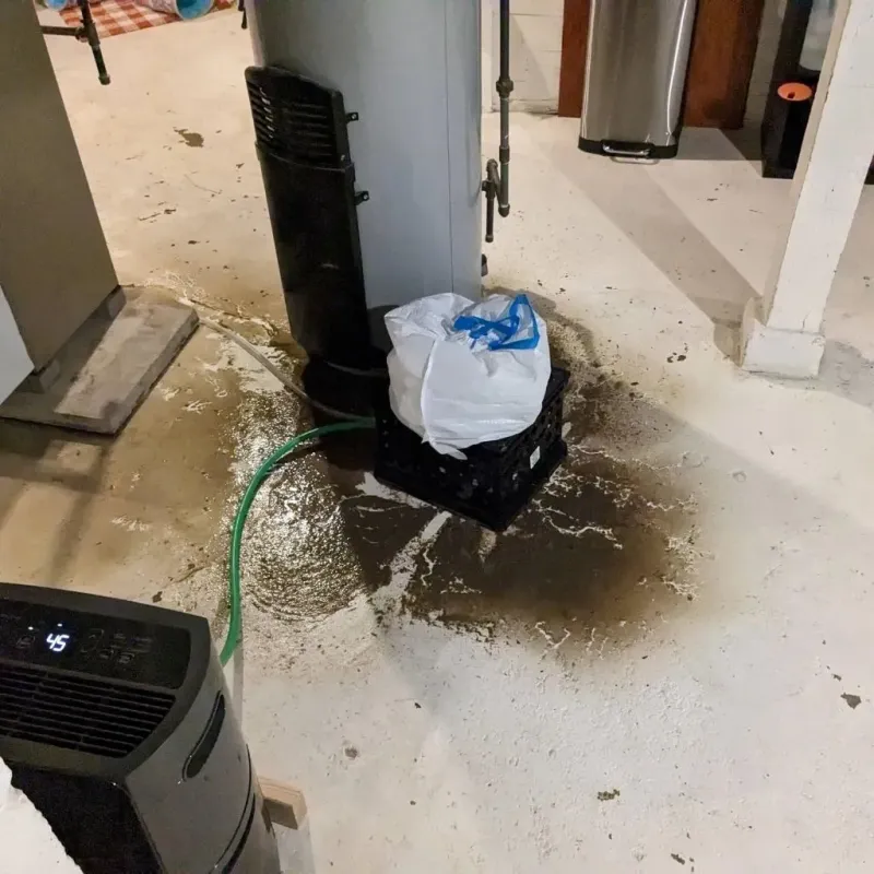 Sewage Backup Cleanup Service in Hillsborough, NH
